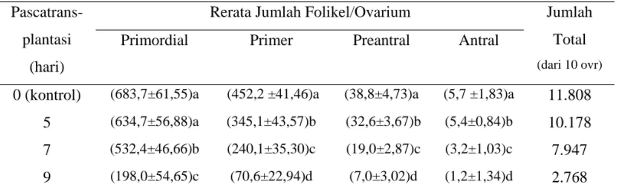 Tabel 1. Rerata jumlah berbagai tingkat perkembangan folikel dari ovarium  domba pascatransplantasi intrauterin pada kelinci 