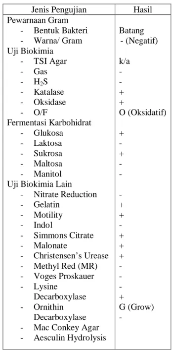 Tabel  1.  Hasil  Uji  Identifikasi  Bakteri  Pseudomonas 