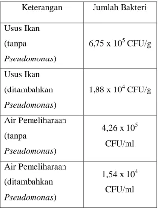 Tabel 2. Hasil Penghitungan ALT/ TPC  Keterangan  Jumlah Bakteri  Usus Ikan  (tanpa  Pseudomonas)  6,75 x 10 5  CFU/g  Usus Ikan  (ditambahkan  Pseudomonas)  1,88 x 10 4  CFU/g  Air Pemeliharaan  (tanpa  Pseudomonas)  4,26 x 10 5CFU/ml  Air Pemeliharaan  (