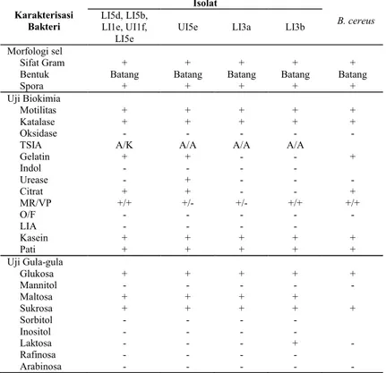 Tabel  2.  Karakterisasi  Bakteri  pada  Kode  Isolat  LI5d,  LI5b,  LI1e,  UI1f,  LI5e,  UI5e, LI3a dan LI3b 