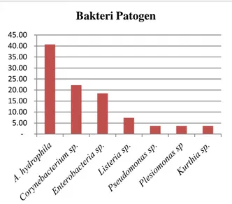 Gambar 1. Grafik persentase jenis bakteri  patogen yang menyerang ikan nila 