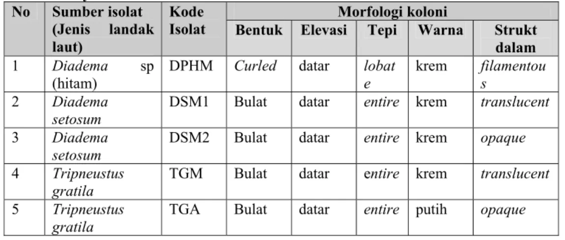 Tabel 1. Isolat bakteri yang bersimbiosis dengan landak laut dan morfologi                  koloninya  No  Sumber isolat  (Jenis landak  laut)  Kode  Isolat  Morfologi koloni 