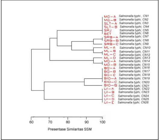 Gambar 5. Dendogram “ Cluster Analysis” berdasarkan jumlah pita protein Sub Unit   Pilli    26  strain Salmonella typhi Isolat Jawa didasarkan analisis  S SM  dan algoritme UPGMA 