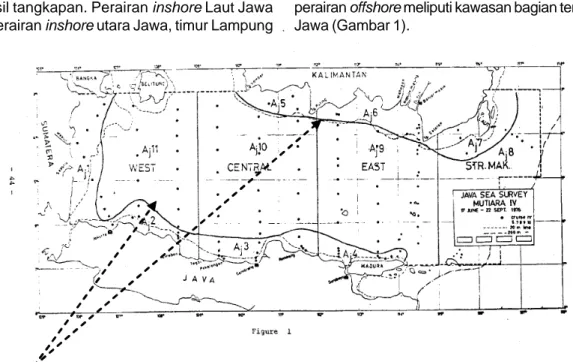 Gambar 1. Garis imajiner sebaran ikan peperek, Leiognathus splendens sub area Laut Jawa (Aj1 = inshore timur Lampung/Sumatera Selatan; Aj2, Aj3, Aj4 = inshore pantai utara Jawa; Aj5, Aj6, Aj7 = inshore selatan Kalimantan; Aj8, Aj9, Aj10, Aj11 = offshore La