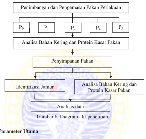 Gambar 6. Diagram alir penelitian  4.3.4 Parameter Utama 