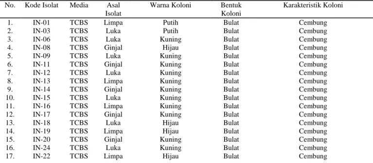 Tabel 1. Hasil Isolasi Bakteri yang Berasosiasi pada Ikan Kerapu Macan Sakit dari Karamba Jaring    Apung di Teluk Hurun Lampung  