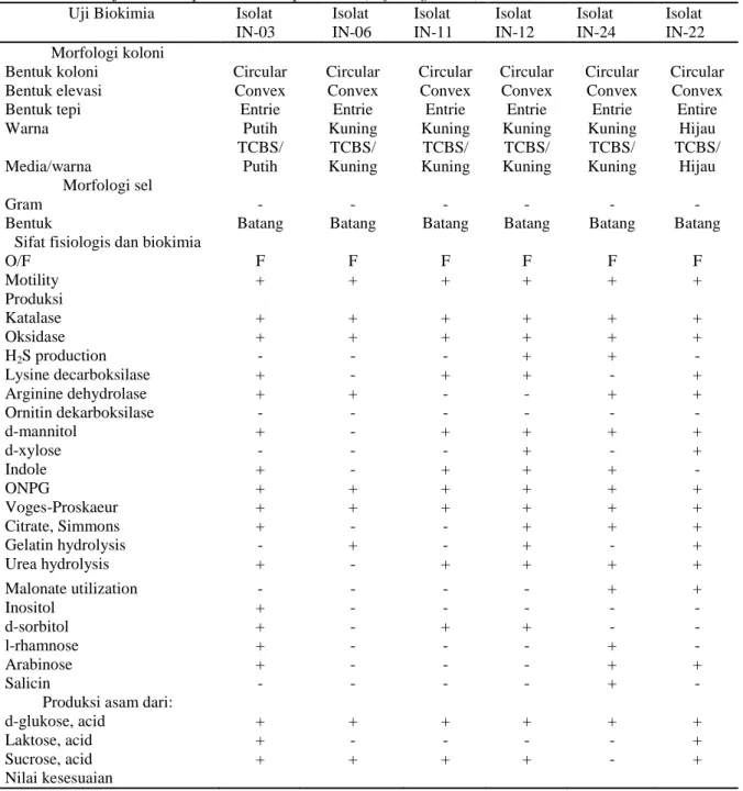 Tabel 4. Hasil Uji Biokimia pada Ikan Kerapu Macan (E. fuscoguttatus)   Uji Biokimia  Isolat 