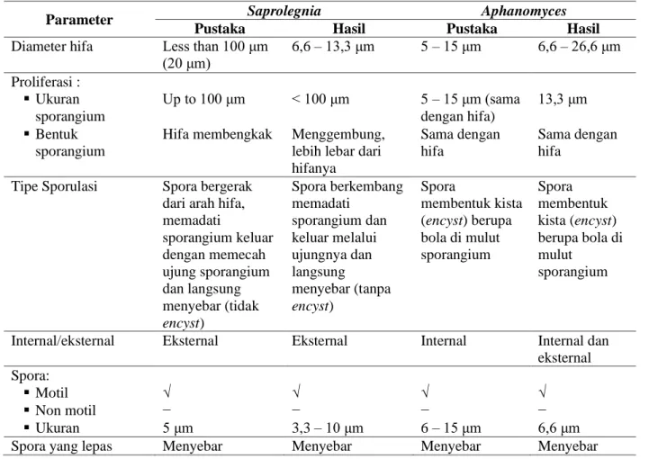 Tabel 1. Hasil identifikasi cendawan yang diisolasi dari telur dan tubuh ikan gurame. 