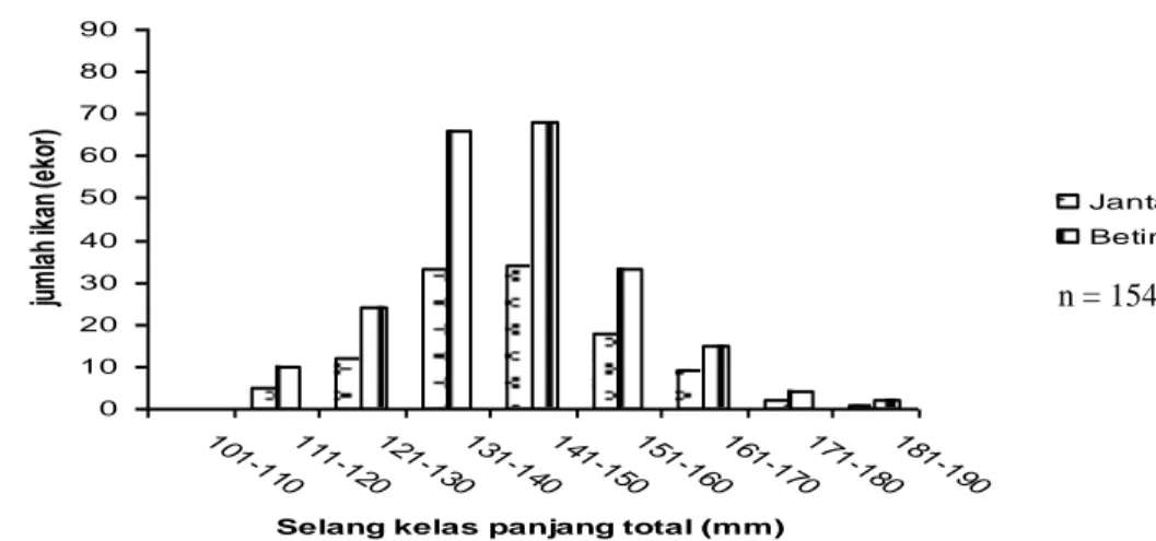 Gambar 5. Distribusi ukuran ikan motan (T. polylepis) yang tertangkap mulai  bulan Juli sampai Desember di Simalinyang 