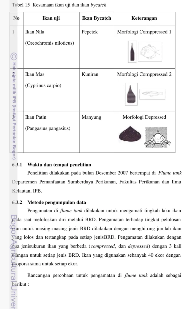 Tabel 15 Kesamaan ikan uji dan ikan No Ikan uji 1 Ikan Nila (Oreochromis niloticus) 2 Ikan Mas (Cyprinus carpio) 3 Ikan Patin (Pangasius pangasius)