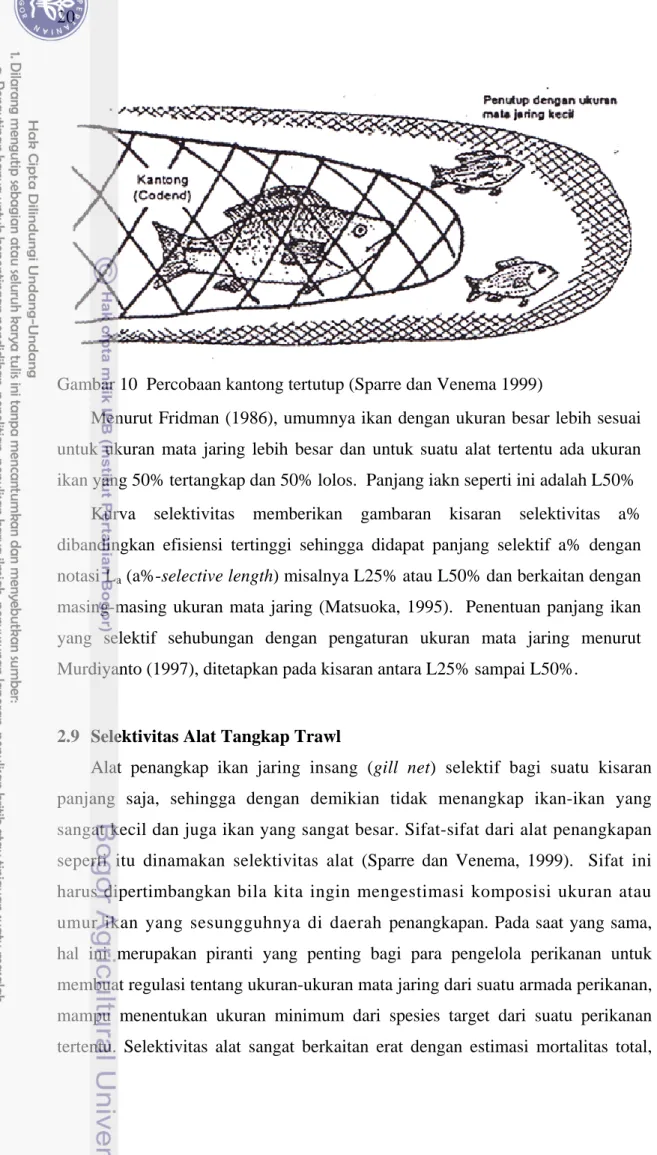 Gambar 10  Percobaan kantong tertutup (Sparre dan Venema 1999) 