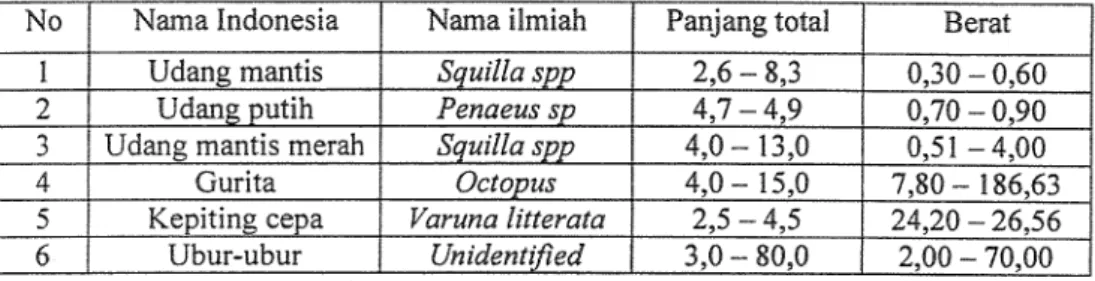 Tabel  1.  Jenis discard catch invertebrata serta ukuran panjang dan beratnya  selama penelitian 