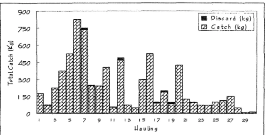 Gambar 3.  Perbandingan antara jumlah  spesies dan discard yang tertangkap  bagan rambo selama penelitian 