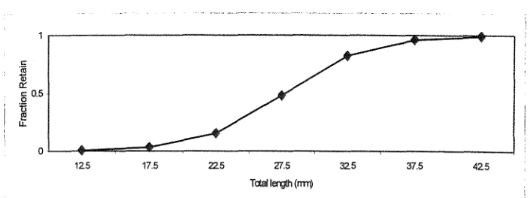 Gambar  5.  Model  logistik  selektivitas  bagan  rambo  terhadap  ikan teri  (Stolephorus  sp) dengan menggunakan  least square method (Sparre method)