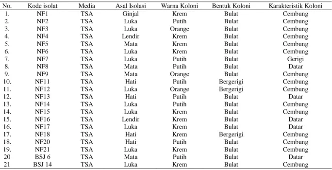 Tabel 1. Karakter Isolat berdasarkan Warna, Bentuk, serta Karakteristik Koloni 