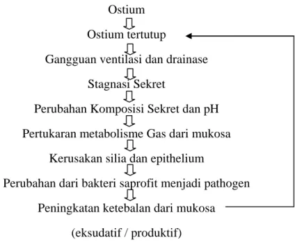 Gambar 5 Skema siklus Perkembangan Sinusitis Kronis  (36) 