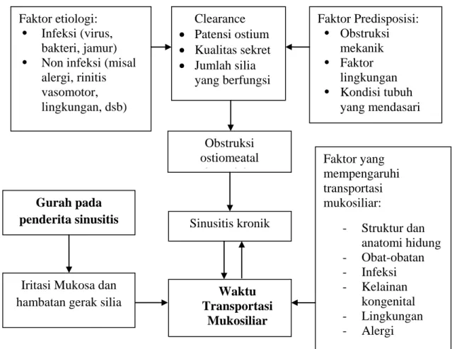 Gambar 6. Kerangka Teori Waktu Transportasi Mukosiliar Gurah pada penderita sinusitis  Faktor yang  mempengaruhi transportasi mukosiliar:  -  Struktur dan  anatomi hidung -  Obat-obatan -  Infeksi -  Kelainan kongenital -  Lingkungan -  Alergi Obstruksi os
