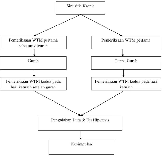 Gambar 9. Alur penelitian  Pengolahan Data &amp; Uji Hipotesis 