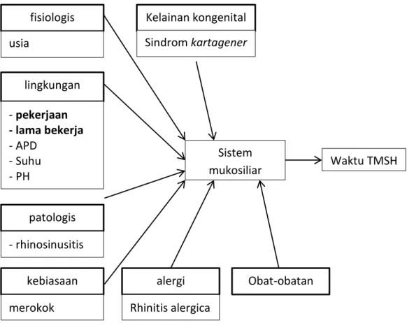 Gambar 2. Kerangka teori 