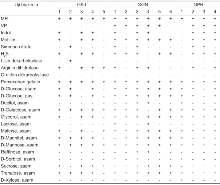 Tabel 1. Differensiasi spesies Aeromonas isolat bakteri dari lele dumbo 