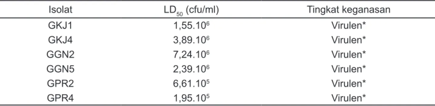 Tabel 2 Tingkat keganasan Aeromonas hydrophila yang diinfeksikan pada lele dumbo