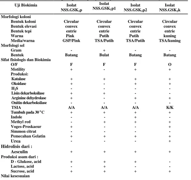 Tabel  3.  Hasil  uji  Biokimia  isolat  NSS.GSK 1 p,  NSS.GSK 1 p1,  NSS.GSK 1 p2,  dan  NSS.GSK 2 k sebagai agensia penyebab pada ikan gurami (O