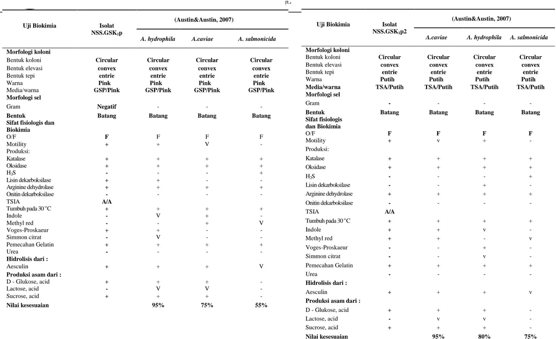 Tabel 4. Hasil uji Biokimia isolat NSS.GSK 1 p sebagai agensia penyebab pada ikan gurami (O