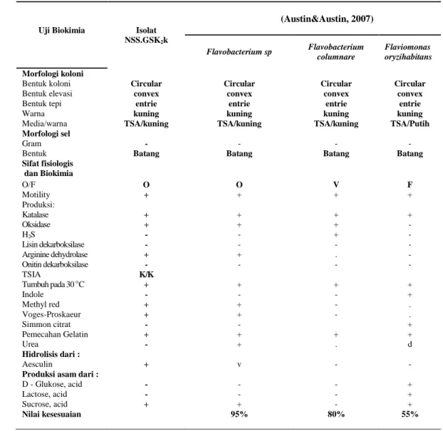 Tabel 6. Hasil uji Biokimia isolat NSS.GSK 1 k sebagai agensia penyebab pada ikan gurami (O
