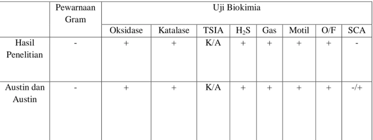 Tabel 1. Karakteristik bakteri A. hydrophila 