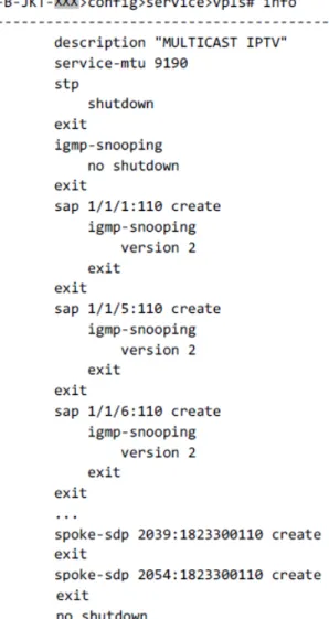 Gambar 3.12 Data Konfigurasi Logik Protokol VPLS Multicast 