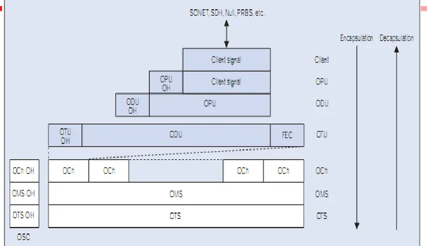 Gambar Struktur dasar OTN