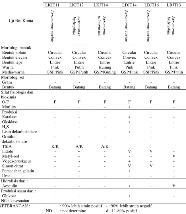 Tabel 5. Hasil uji morfologi dan biokimia isolat LKJTI1, LKJTI2, LKJTI6, LDJT014; LDJT16; LBJT13