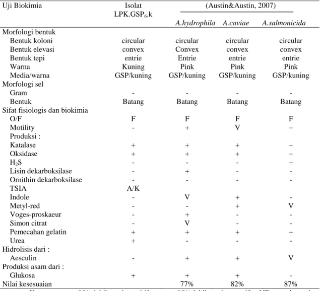 Tabel 8. Hasil Uji Biokimia LPK.GSP 6 .k, sebagai agensia penyebab  pada ikan lele (C