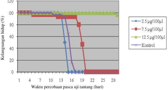 Gambar 3. Kelangsungan  hidup ikan mas Cyprinus carpio yang telah diberi perlakuan vaksinasi dengan dosis  2,5 µg/100 µl (perlakuan A); 7,5 µg/100 µl (perlakuan B);  12,5 µg/100 µl (perlakuan C); dan tanpa vaksinasi  (perlakuan K) setelah uji tantang denga