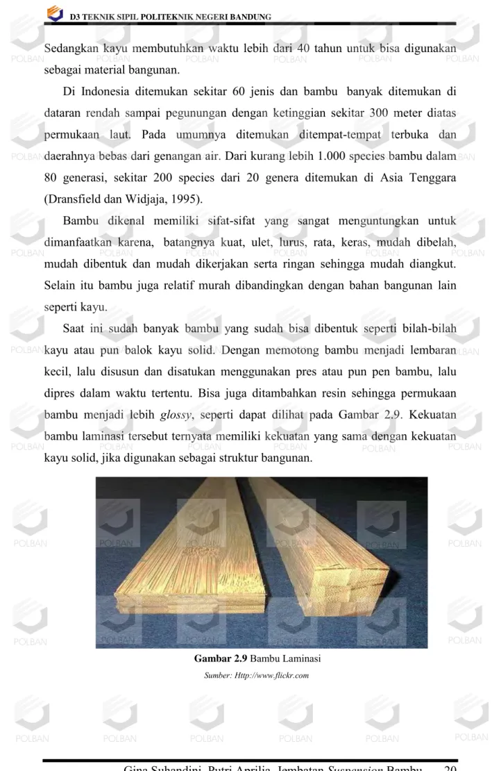 Gambar 2.9  Bambu Laminasi       Sumber: Http://www.flickr.com          