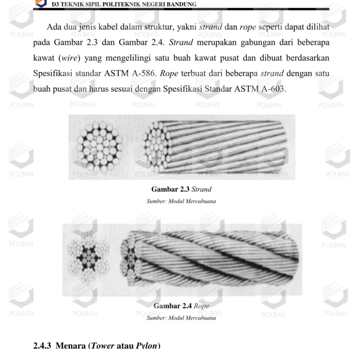 Gambar 2.3  Strand  Sumber: Modul Mercubuana 