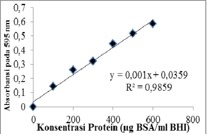 Gambar 1. Kurva standar pengukuran konsentrasi protein pada ECP S. agalactiae. 