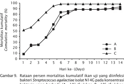 Figure 8. Percentage average of total mortality of sampled fish infected with Streptococcus agalactiae code N4M in  differ-ent concdiffer-entrations (A= 10 3  cfu/sample, B= 10 5  cfu/sample, and C= 10 7  cfu/sample)902345 6 7 8 9 10 11 12 13 14ABC