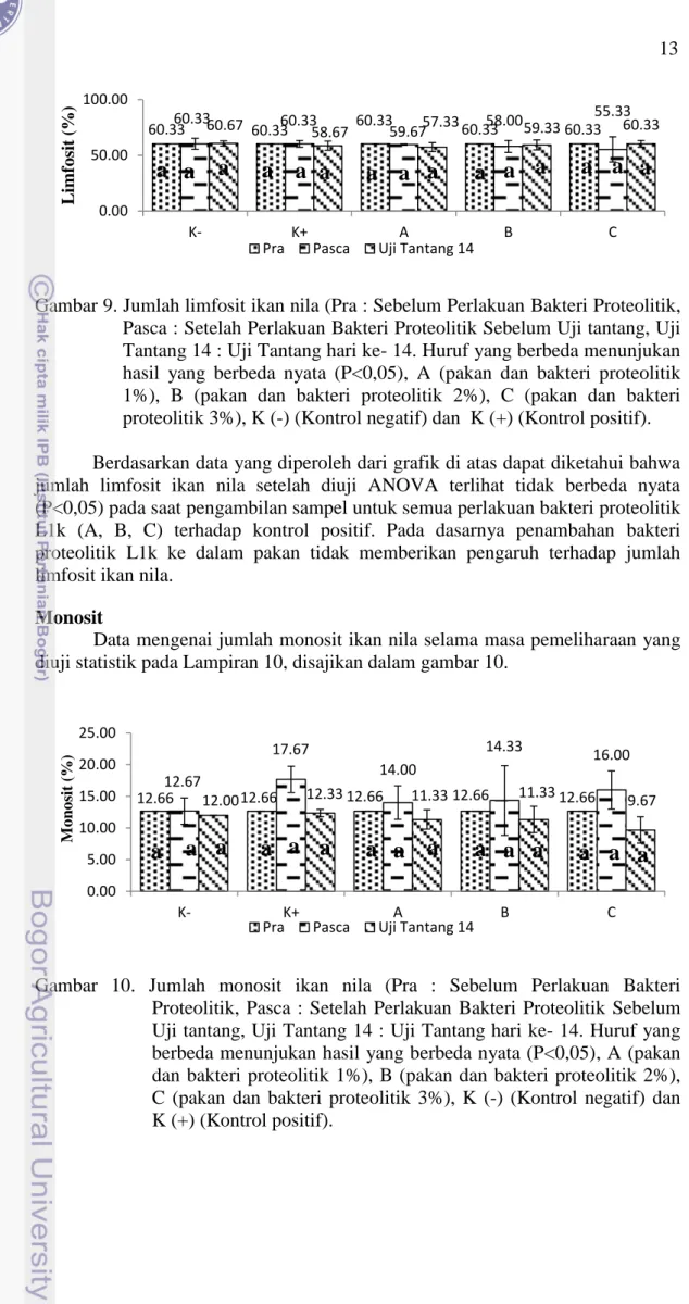 Gambar 9. Jumlah limfosit ikan nila (Pra : Sebelum Perlakuan Bakteri Proteolitik,  Pasca : Setelah Perlakuan Bakteri Proteolitik Sebelum Uji tantang, Uji  Tantang 14 : Uji Tantang hari ke- 14