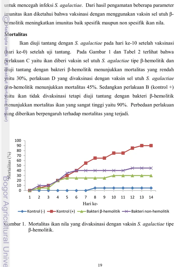 Gambar 1.  Mortalitas ikan nila yang divaksinasi dengan vaksin S. agalactiae tipe  β-hemolitik