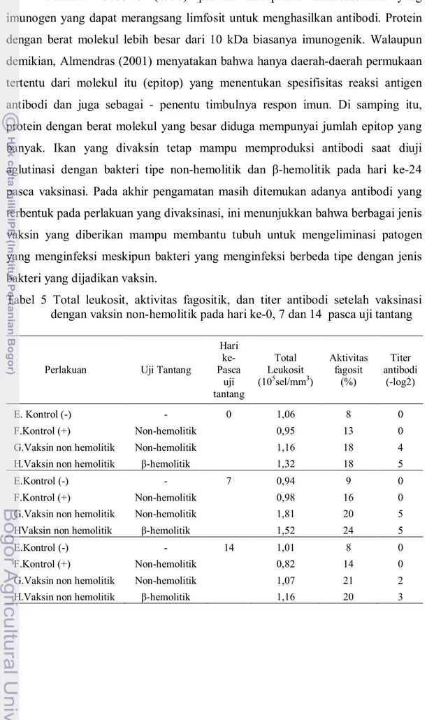 Tabel  5  Total  leukosit,  aktivitas  fagositik,  dan  titer  antibodi  setelah  vaksinasi  dengan vaksin non-hemolitik pada hari ke-0, 7 dan 14  pasca uji tantang 