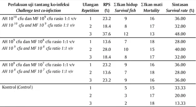 Tabel 2. Efikasi vaksinasi bivalen A. hydrophila dan M. fortuitum melalui perendaman Table 2