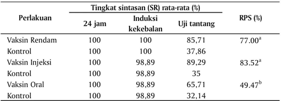 Tabel 1 memperlihatkan bahwa pada 24 jam pasca  vaksinasi SR rata-rata baik ikan yang divaksin maupun kontrol untuk semua perlakuan sebesar 100%
