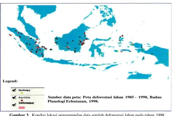 Gambar 3. Kondisi lokasi pengumpulan data setelah deforestasi lahan pada tahun 1998