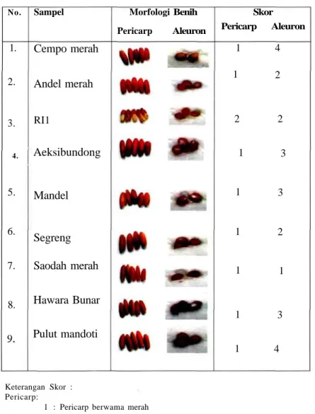 Tabel 3. Keragaman fenotipe dan kuantifikasinya dalam skor, plasma nutfah padi beras merah
