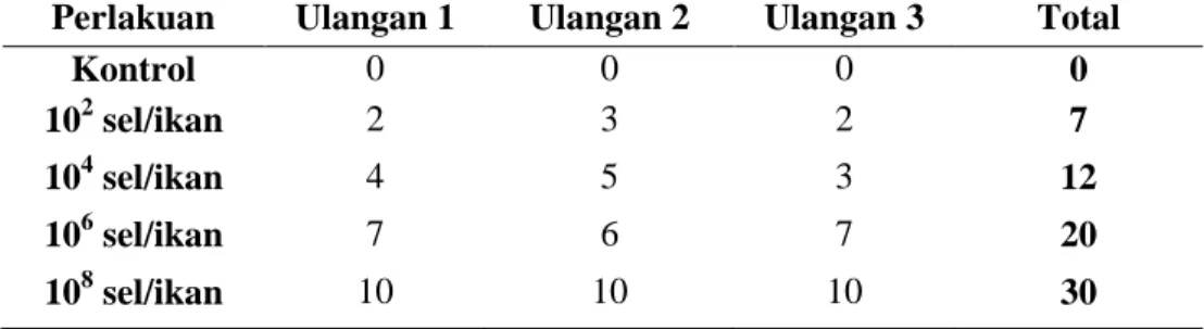 Tabel 4.1. Mortalitas lele dumbo (ekor) yang diinfeksi A. hydrophila isolat JTP2 Perlakuan Ulangan 1 Ulangan 2 Ulangan 3 Total