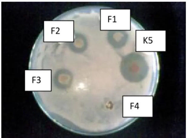 Gambar 3 menunjukkan hasil dari pengujian antibakteri  formula gel ekstrak etanol  daun lidah buaya dengan gelling agent karbopol 934 terhadap bakteri Staphylococcus  epidermidis 