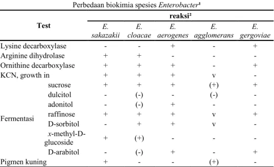 Tabel 2  Perbedaan biokimia spesies Enterobacter 