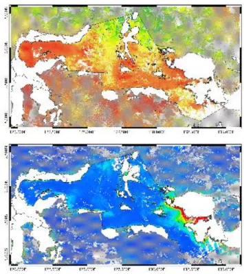 Gambar 6. Data SST dan Klorofil dengan metode rolling mosaic