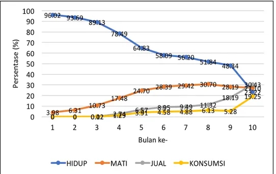 Grafik 2.  Profil ayam KUB yang dipelihara RTM program BEKERJA Kabupaten Lombok  Tengah Nusa Tengara Barat 